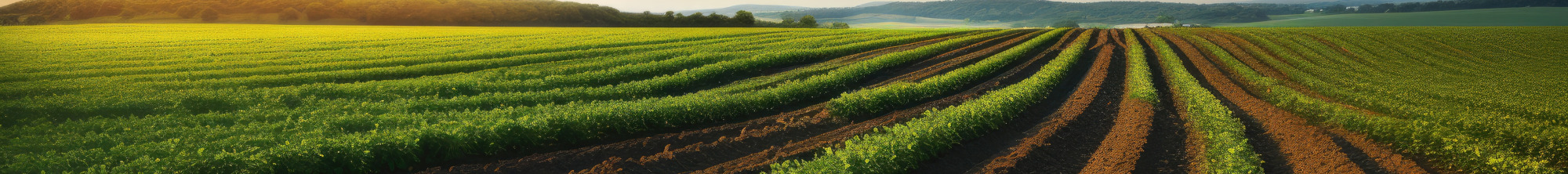 Fertilisers