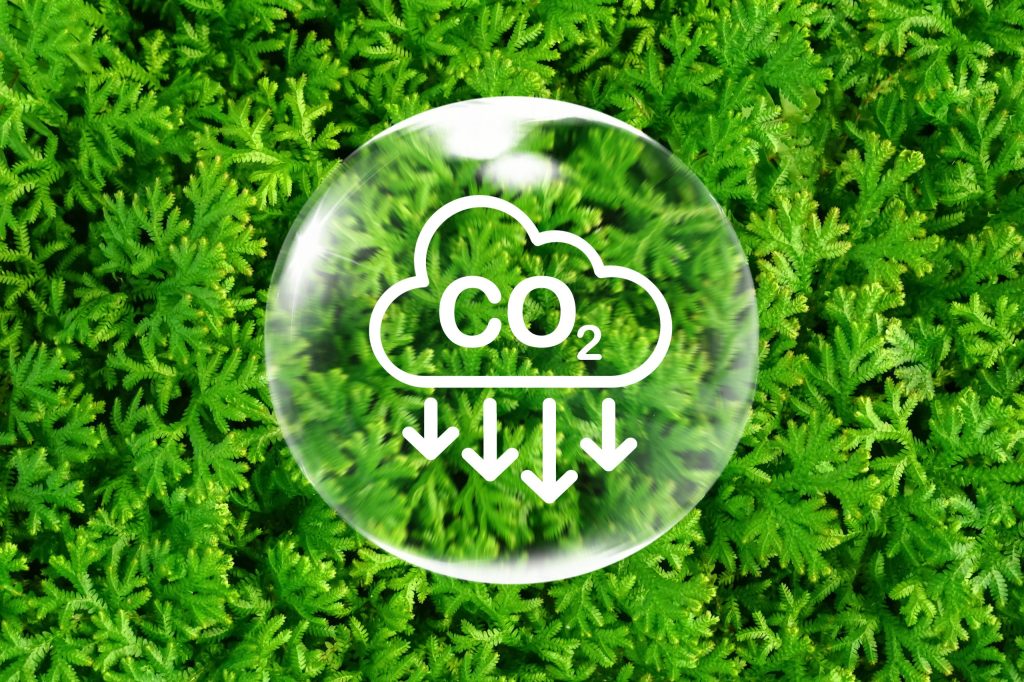 SUSTAINABILITY SOLUTIONS LOWER CARBON SASOLWAX