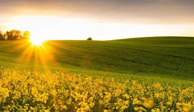 Sasol Chemicals Eurasia Advances on Sustainability Roadmap