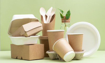 Food Packaging Additives