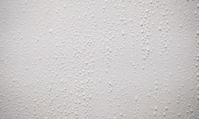 Mold Release Agents