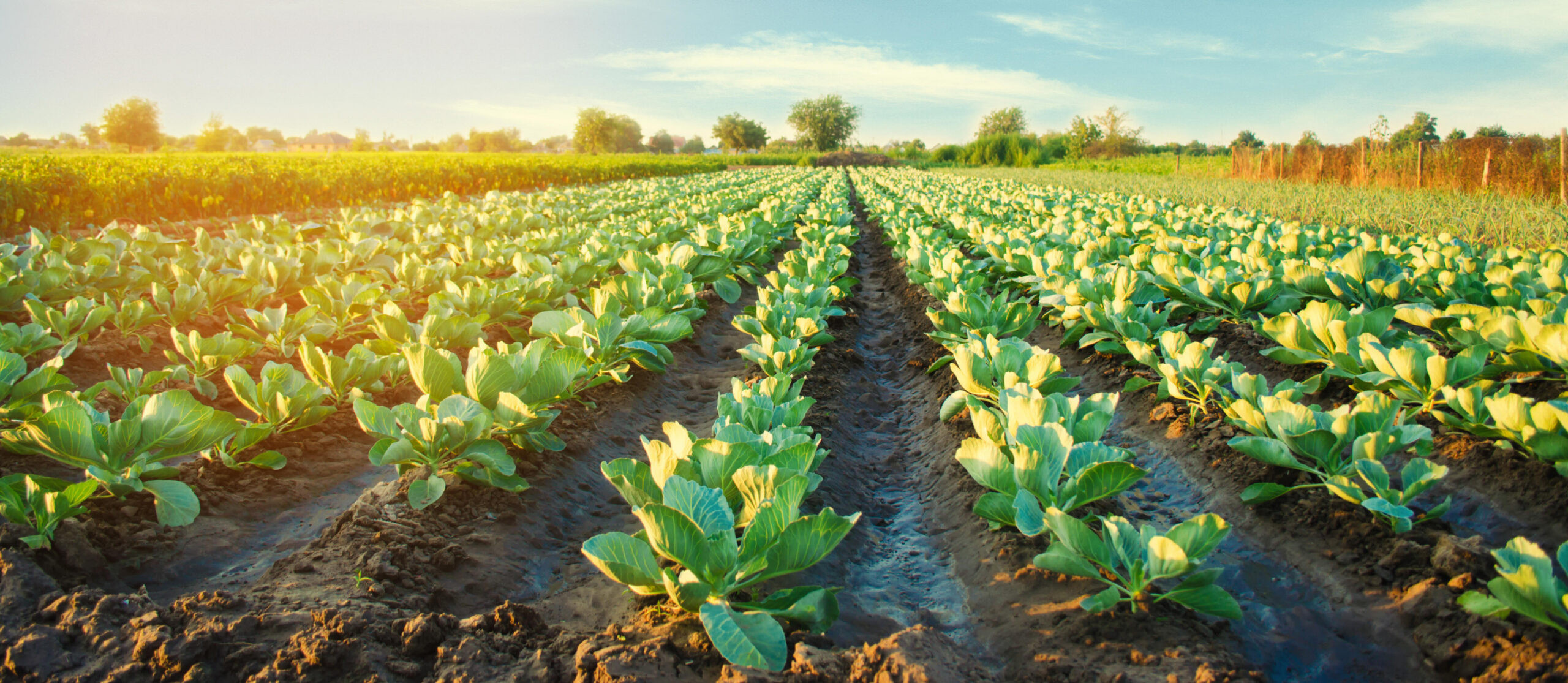 CAC China Intl. Agrochemical Conference – Shanghai, China 