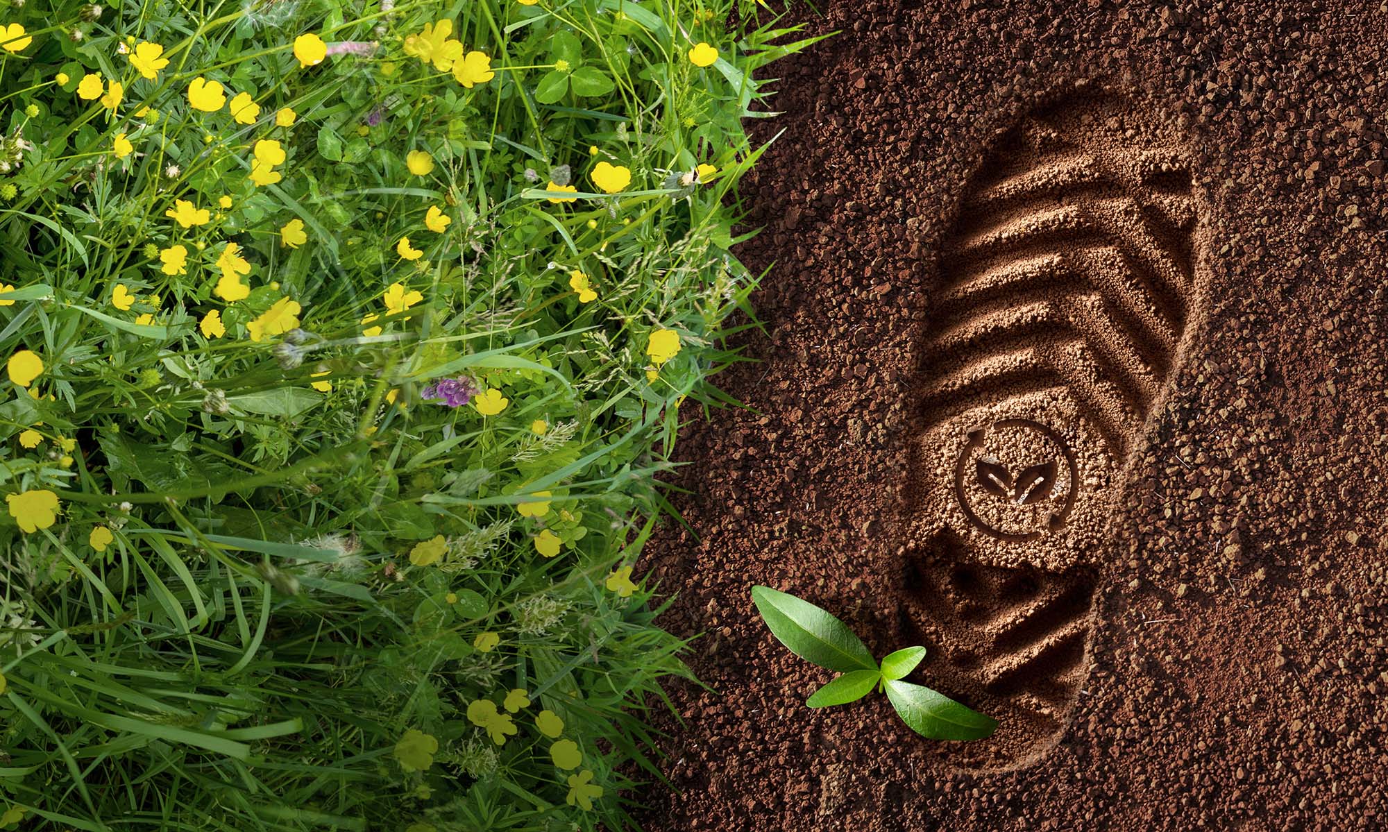 Sustainability and Circularity