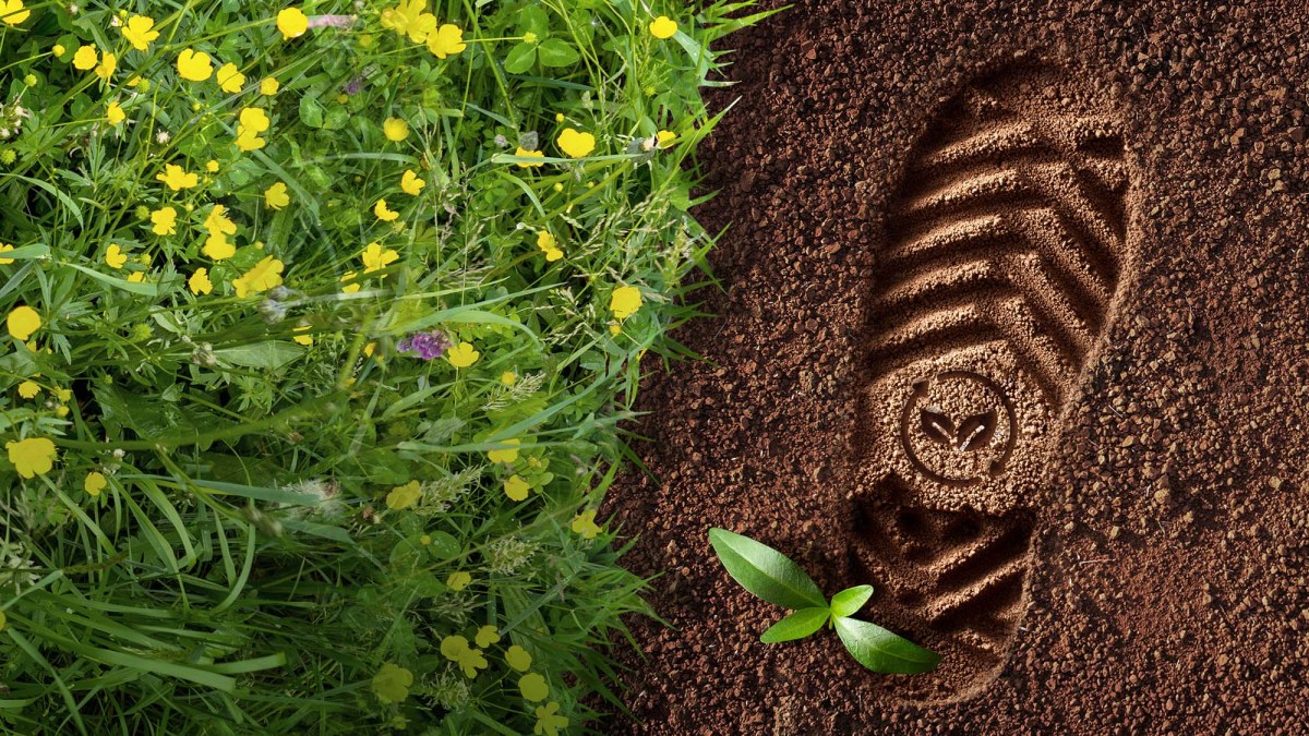 Sustainability and Circularity