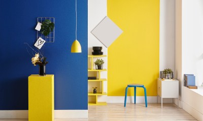 NOVELUTION SURFACTANTS FOR PAINTS