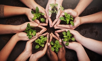 Sustainability collaboration AdobeStock_786089157_400x240