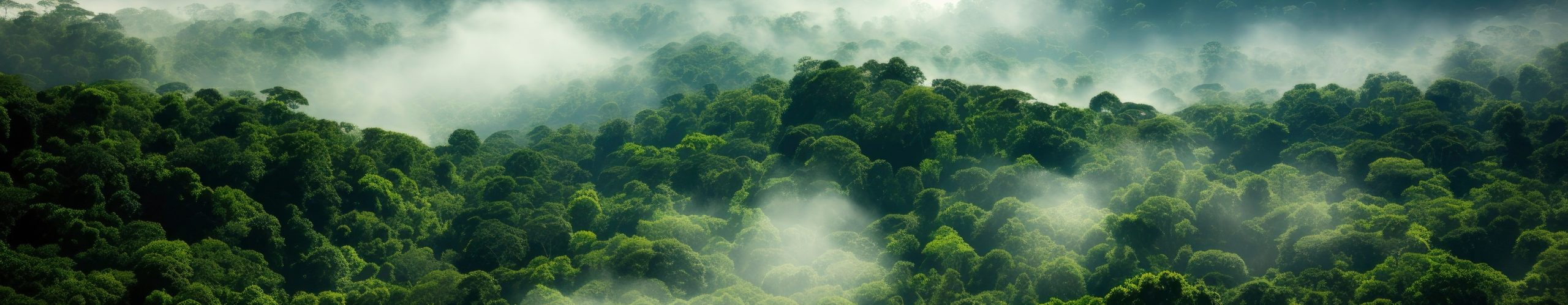 Sustainability